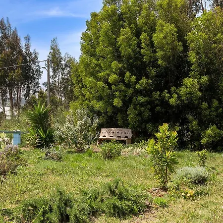 Cozy Retreat 3* טורס ודראס